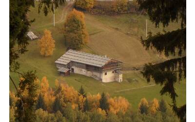 Bild: Filzerhof