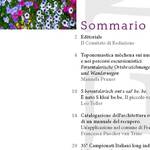 Bild: Lem nr. 4 2010 agosto Indeks