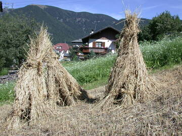 Die traditionellen Tätigkeiten
