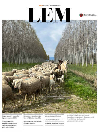 Immagine: Lem nr. 35